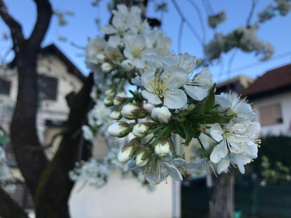 Apartman Katarina Záhřeb Exteriér fotografie