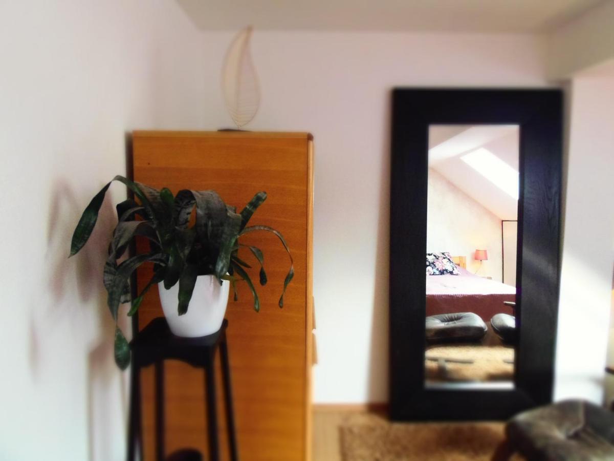 Apartman Katarina Záhřeb Exteriér fotografie